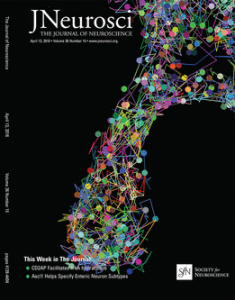 Journal of Neuroscience Cover